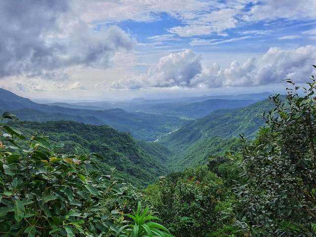 221 Pachmarhi Stock Photos  Free  RoyaltyFree Stock Photos from  Dreamstime